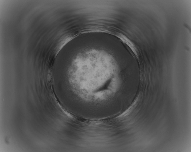 X0000091921385200710031030
