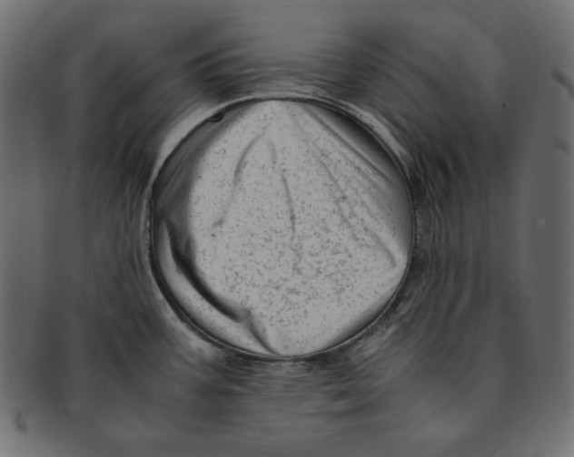 X0000091921387200710031030