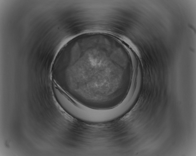 X0000091921388200710031030