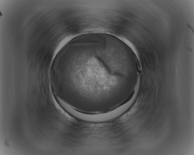 X0000091921389200710031030