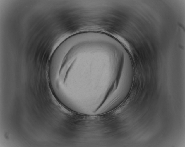 X0000091921390200710031030