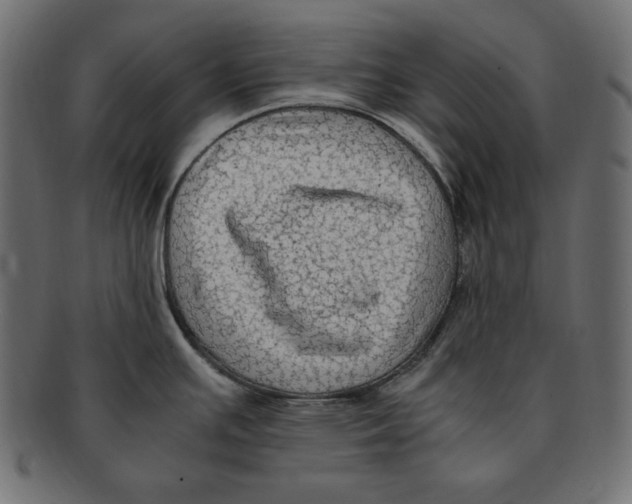X0000091921391200710031030