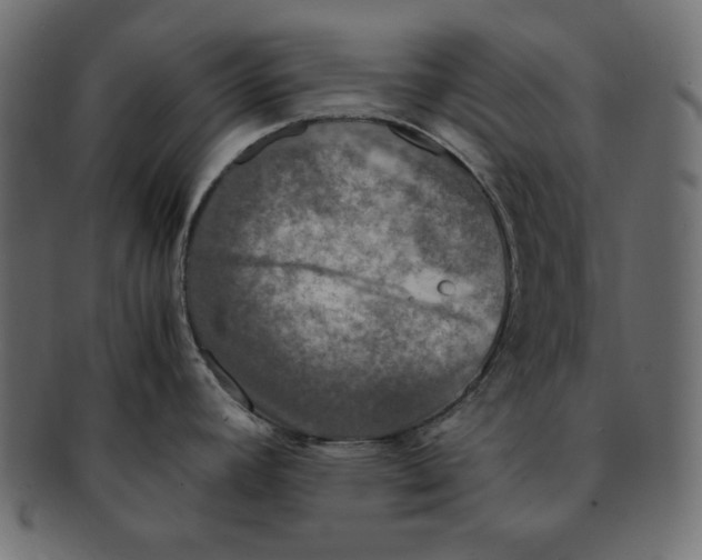 X0000091921392200710031030