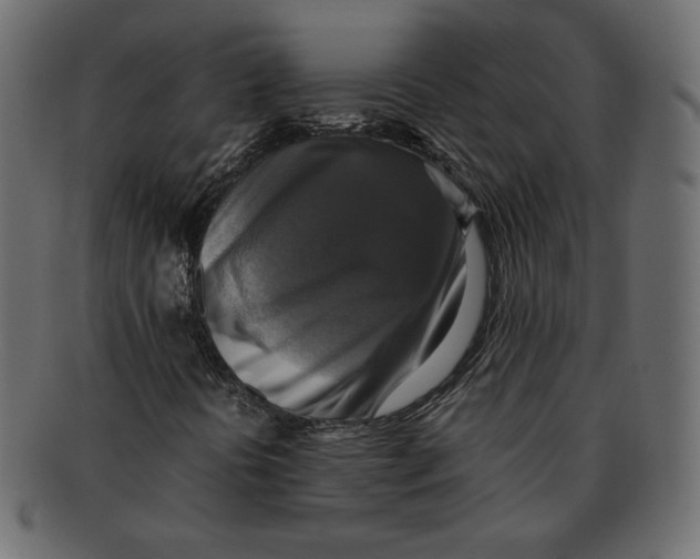 X0000091921394200710031029