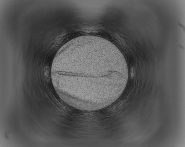 X0000091921396200710031029