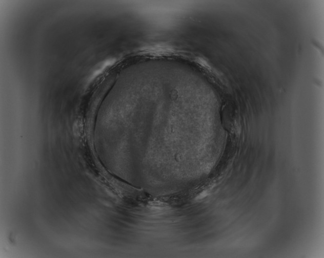 X0000091921398200710031029