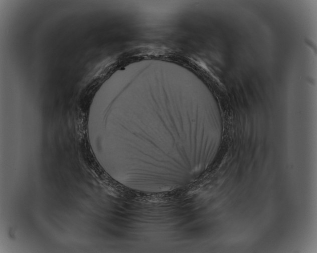 X0000091921399200710031029
