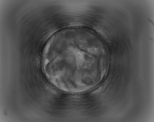 X0000091921401200710031029