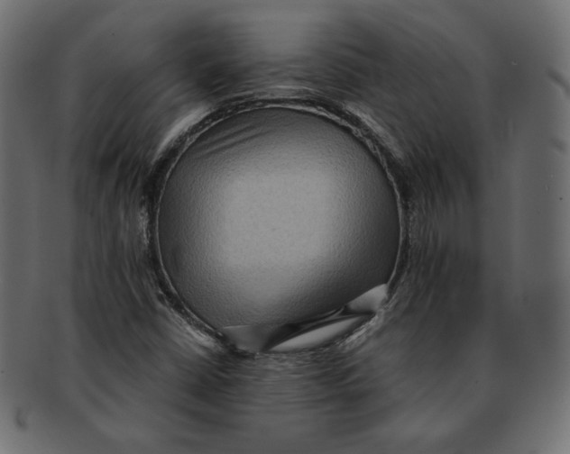 X0000091921402200710031029