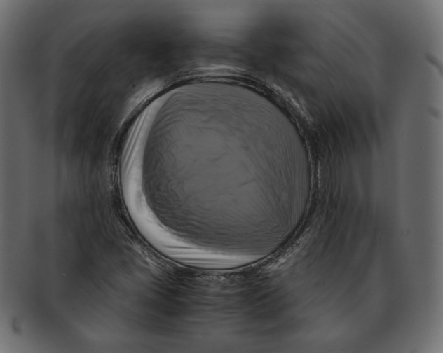 X0000091921405200710031029
