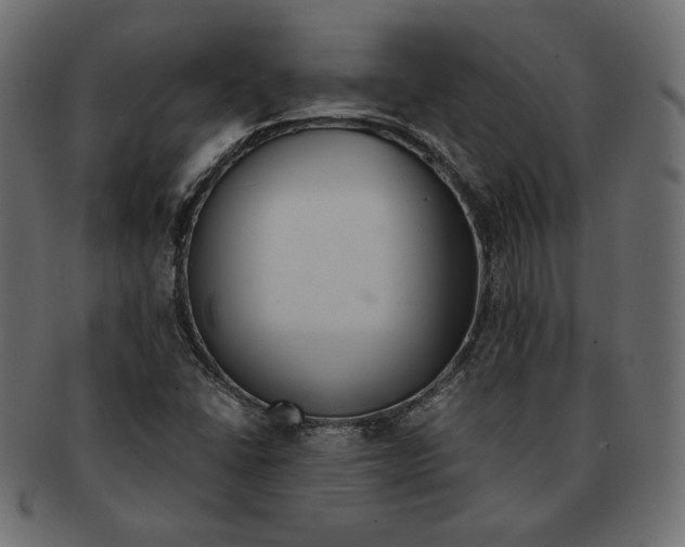 X0000091921406200710031030