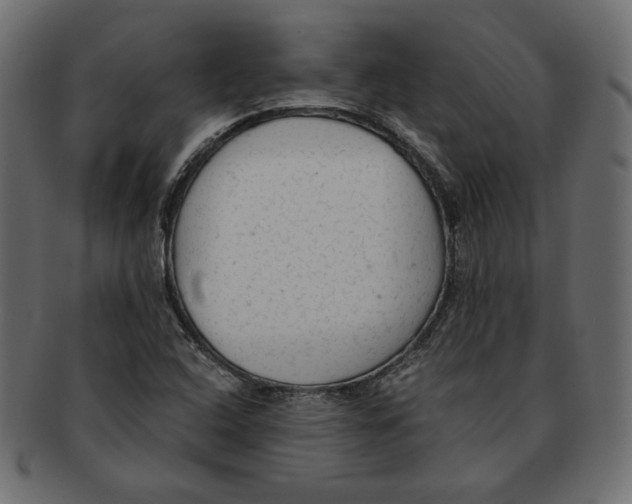 X0000091921408200710031030
