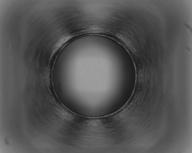 X0000091921410200710031030