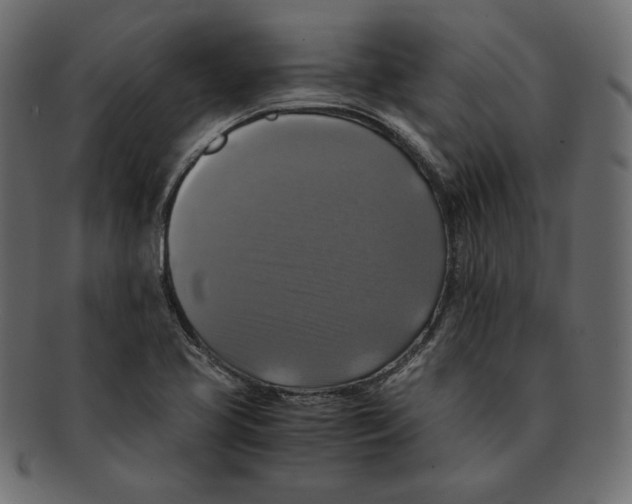 X0000091921413200710031030