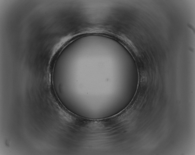 X0000091921414200710031030