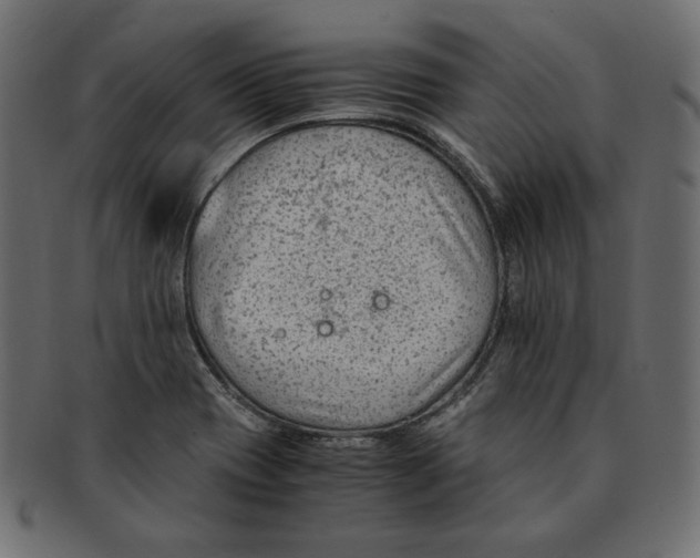 X0000091921417200710031030