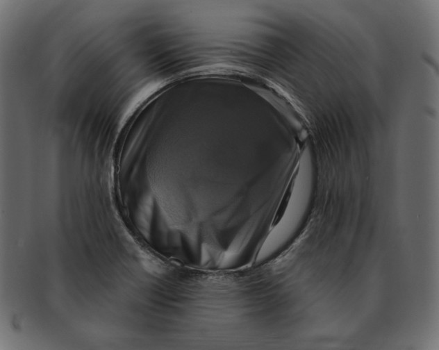 X0000091921418200710031030
