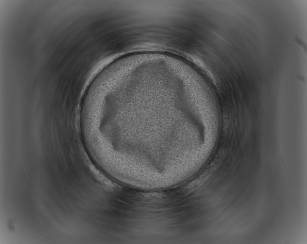 X0000091921421200710031030