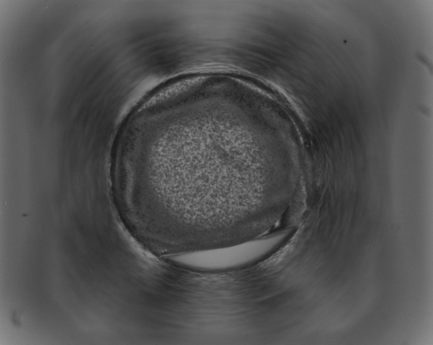 X0000091921422200710031030