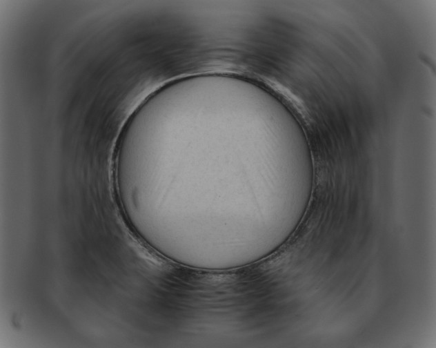 X0000091921423200710031030
