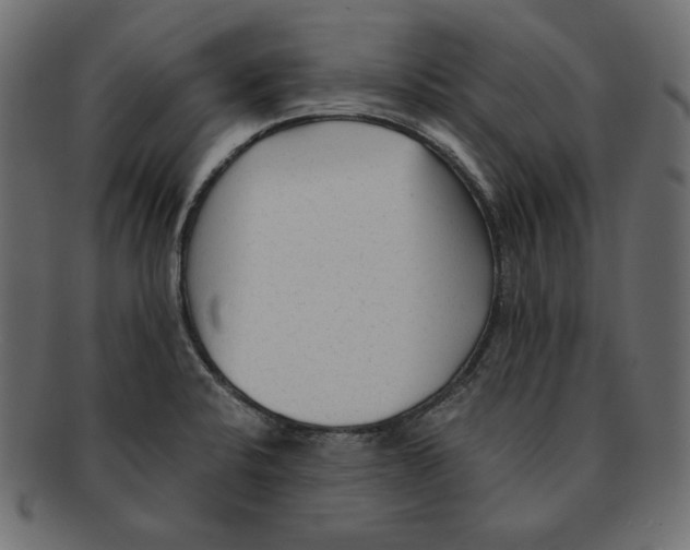 X0000091921424200710031030