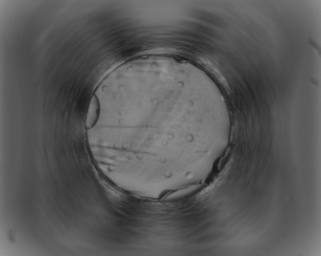 X0000091921425200710031030