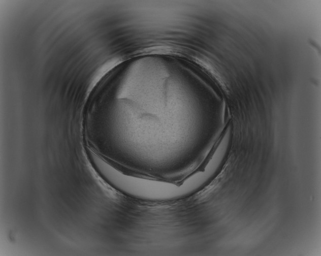 X0000091921426200710031030