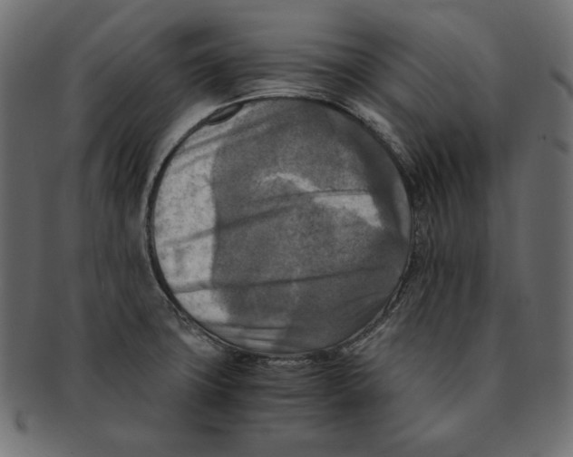 X0000091921427200710031030