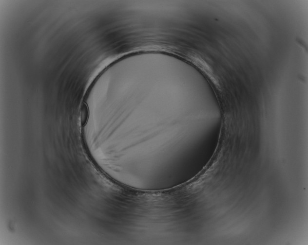 X0000091921428200710031030