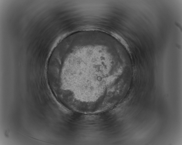 X0000091921429200710031030