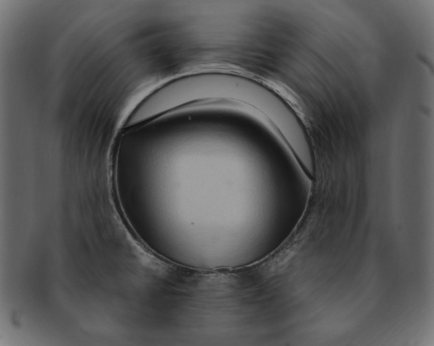 X0000091921430200710031030