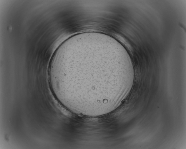 X0000091921431200710031030