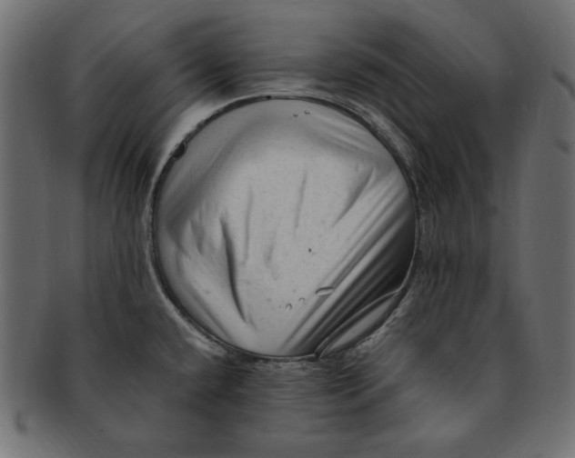 X0000091921432200710031030