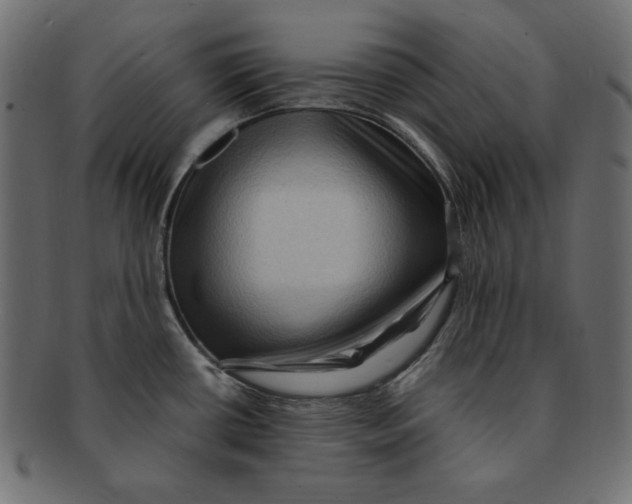 X0000091921434200710031030