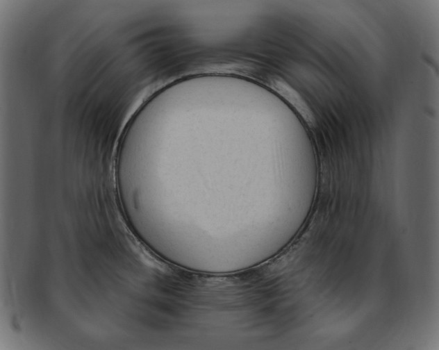X0000091921436200710031030