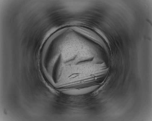 X0000091921437200710031030