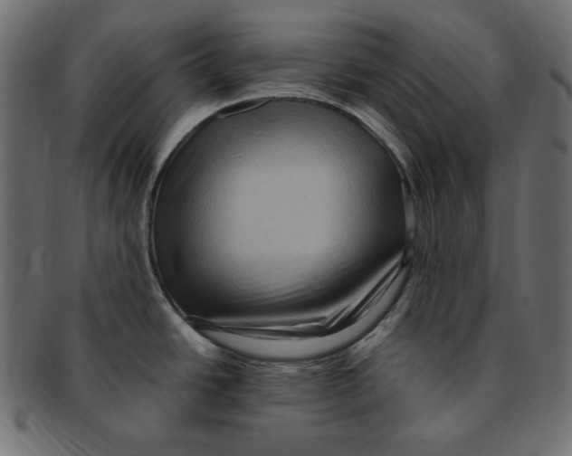 X0000091921438200710031030