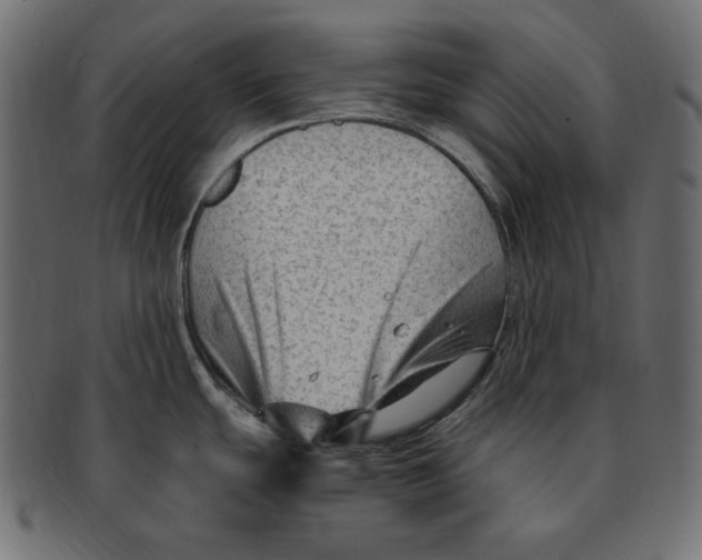 X0000091921439200710031030