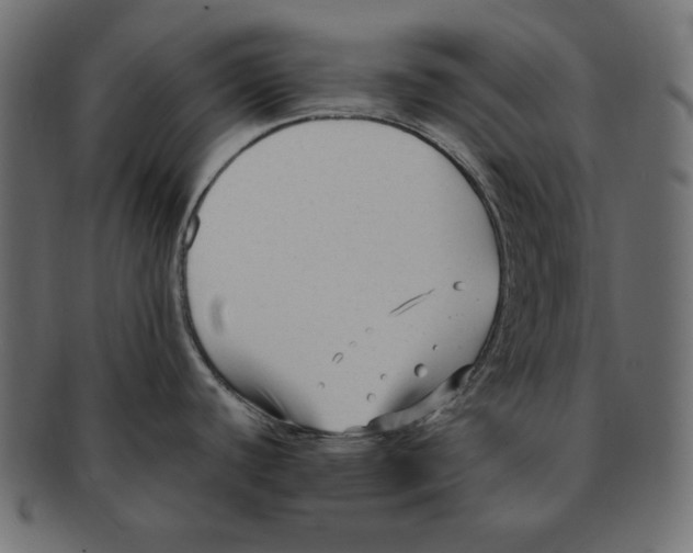 X0000091921440200710031030