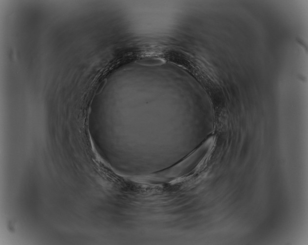 X0000091921441200710031029