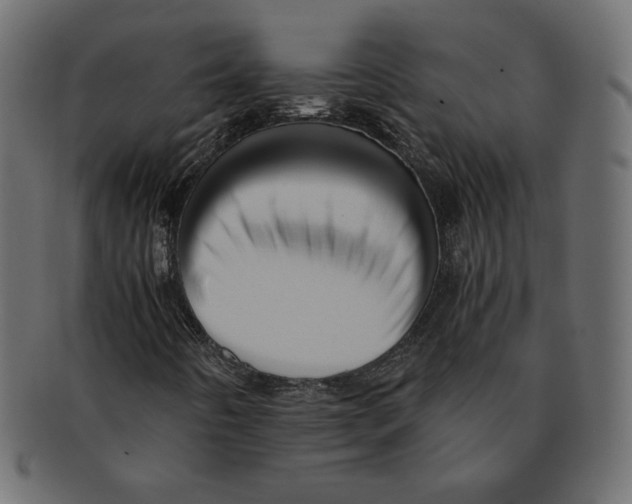 X0000091921442200710031029