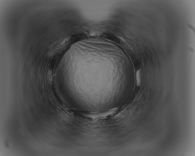 X0000091921443200710031029