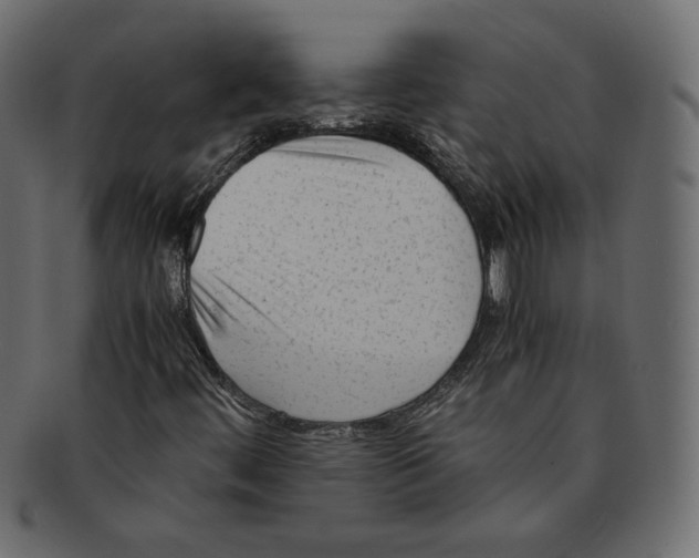 X0000091921444200710031029
