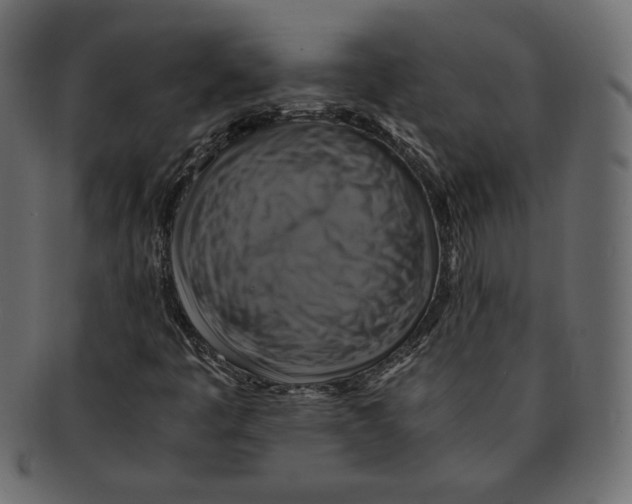 X0000091921445200710031029