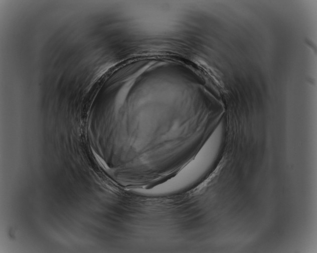 X0000091921449200710031029