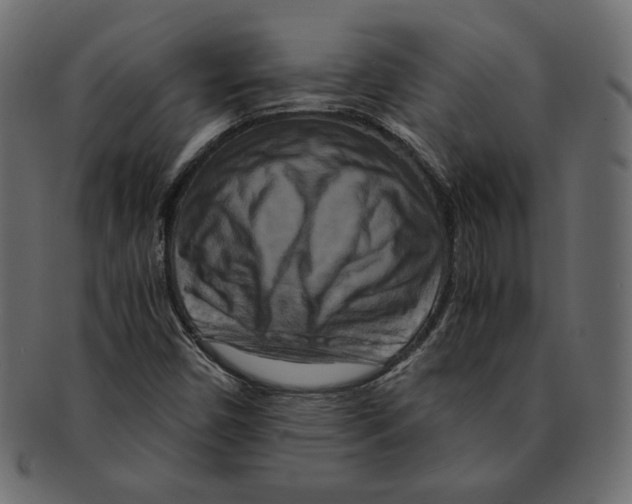 X0000091921450200710031029