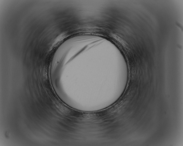 X0000091921451200710031029