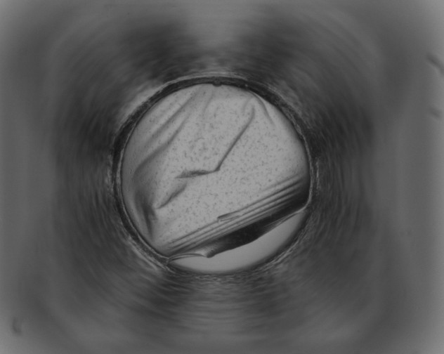 X0000091921452200710031029