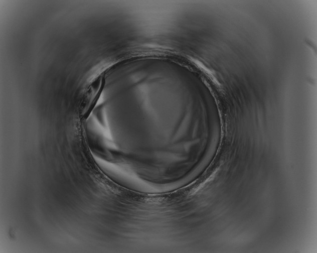 X0000091921453200710031029