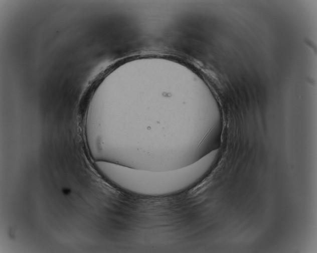 X0000091921454200710031029